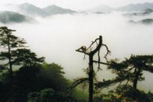 小黄山畲族风情村